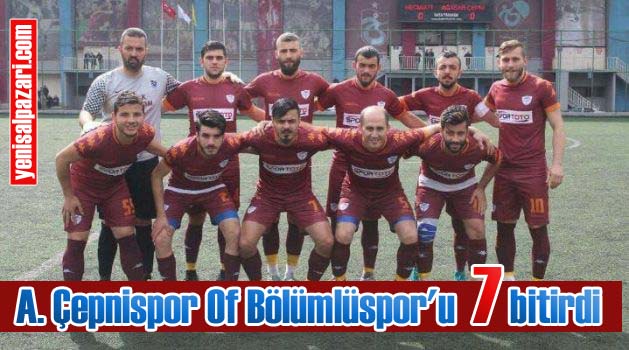 cepnispor yedi