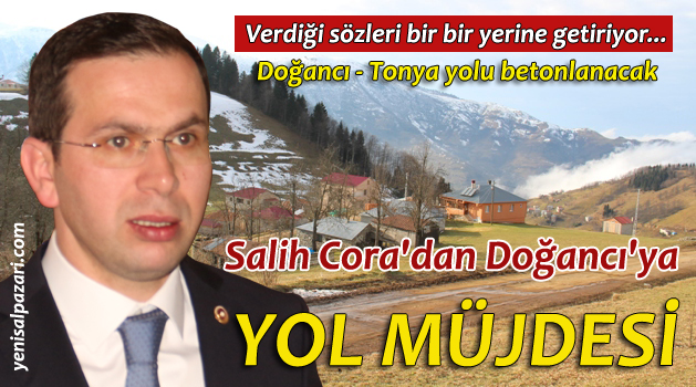 doyfa