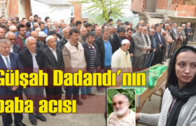 ali-dadandi