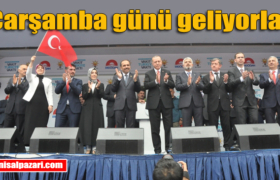 milletvekilleri balta cora