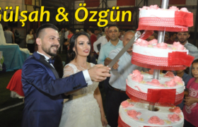 DSC_0758 gulsah ozgun