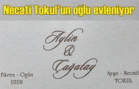 cagatay tokul