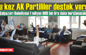 belediye meclisi