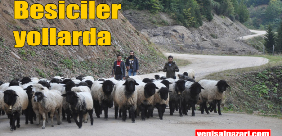 Havalar soğudu. Yaylalardan dönüşler sürüyor