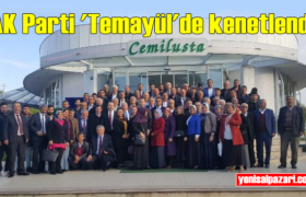 ak parti temayul