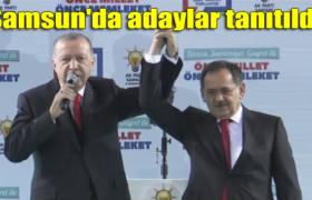 mustafa demir tayyip erdogan