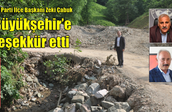 zeki cabuk sayvancatak sel