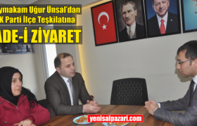 kaymakam unsal ak parti de
