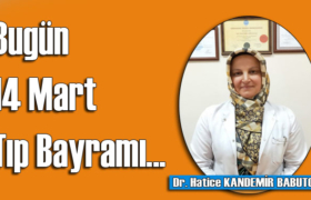 14 mart tip bayrami dr hatice