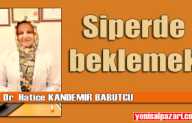 dr hatice kand babutcu