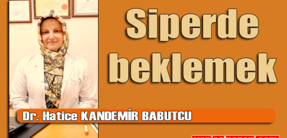 Şalpazarı Aile Hekimi Dr. Hatice Kandemir Babutcu’nun yazısı