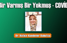 bir varmis bir yokmus covid 19