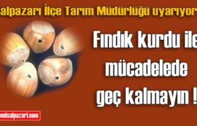 funduk kurdu ile mucadele
