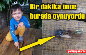 fidanbasi serseri kursun