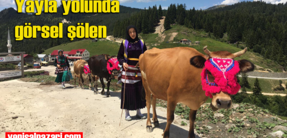 Şalpazarı’ndan yaylalara göçler başladı