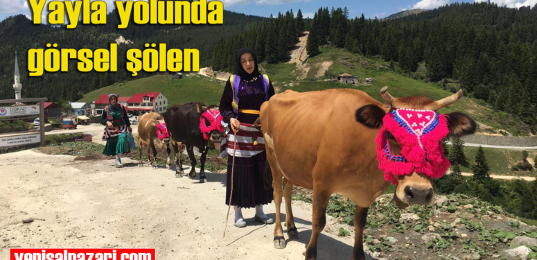 Şalpazarı’ndan yaylalara göçler başladı