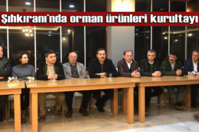 sihkraninda orman kurultayi