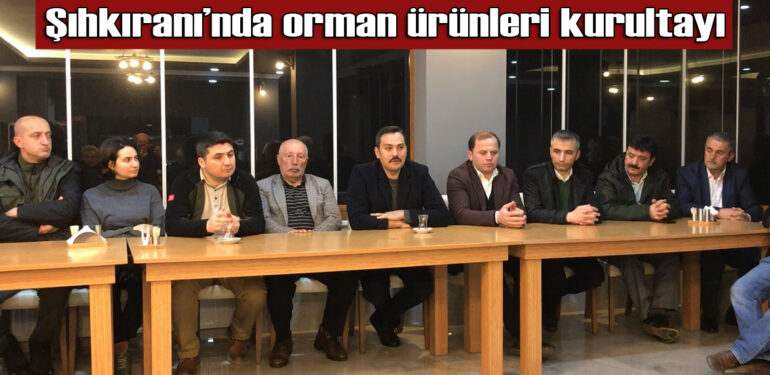 Şalpazarı İşadamları Derneği, orman emvalinin İlçede değerlendirilmesi için harekete geçti