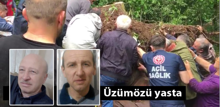 Üzümözü Mahallesi’nde ağacın altında kalan baba ve oğlu hayatını kaybetti