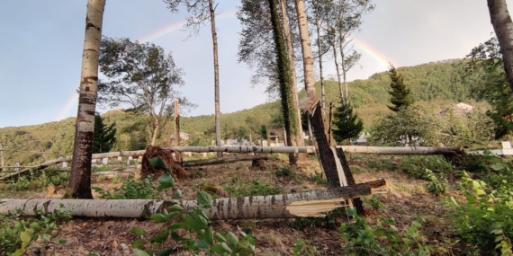 Şalpazarı’nda fırtına çatıları uçurdu, ağaçları devirdi
