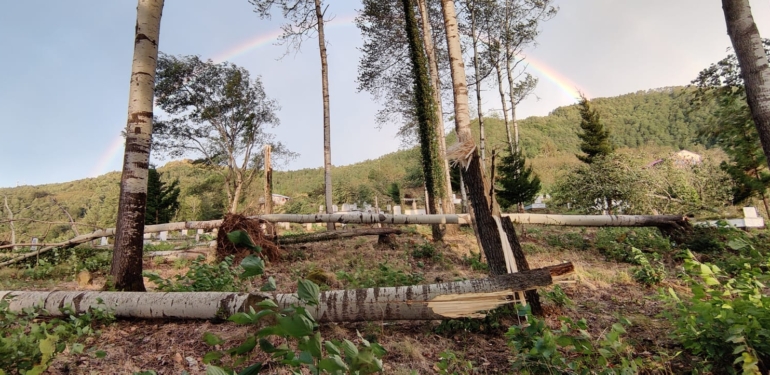 Şalpazarı’nda fırtına çatıları uçurdu, ağaçları devirdi