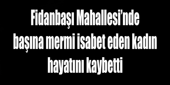 Perihan Dikbaş odun keserken başından vurularak hayatını kaybetti
