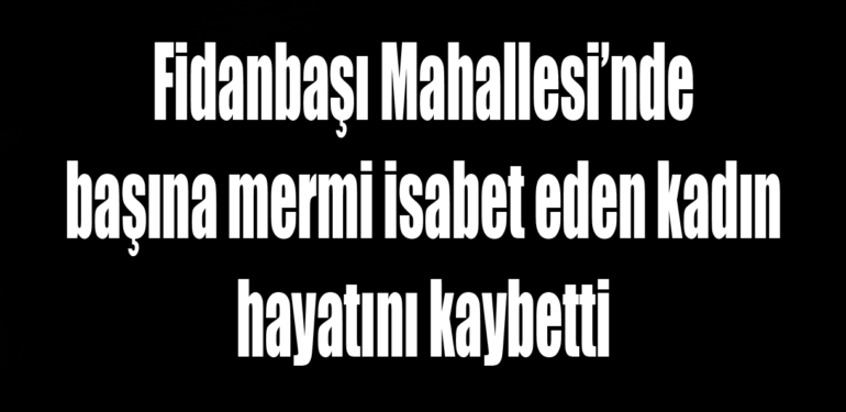 Perihan Dikbaş odun keserken başından vurularak hayatını kaybetti