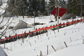 sarikamis sis yuruyus1