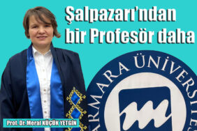 prof meral kucuk yetgin