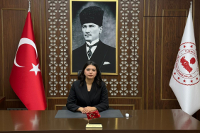 bayan kaymakam yerlikaya